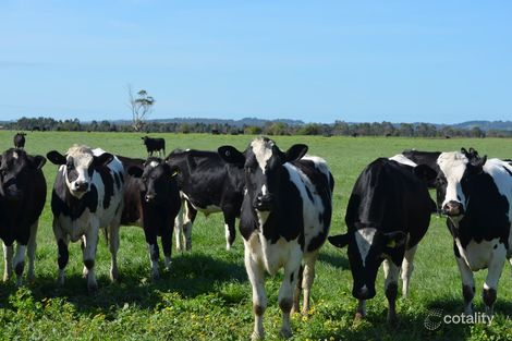 350 South Yannathan Rd, Yannathan, VIC 3981