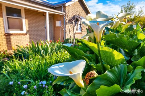 Property photo of 15 Hodder Street Angaston SA 5353