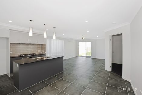 Property photo of 41 Midnight Crescent Spring Mountain QLD 4300