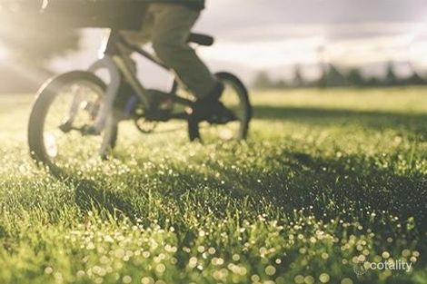 Property photo of 36 Congo Drive Tarneit VIC 3029