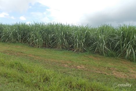 787 Four Mile Rd, Braemeadows, QLD 4850