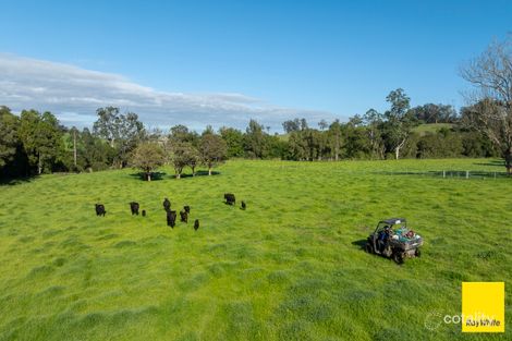 367 Terreel Rd, Wards River, NSW 2422