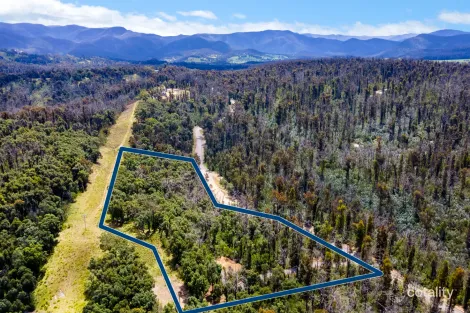 909 Yowrie Rd, Yowrie, NSW 2550