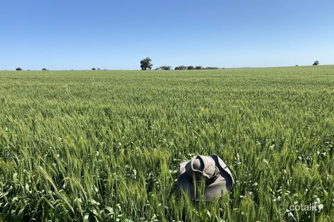 190 Ootha Rd, Fifield, NSW 2875