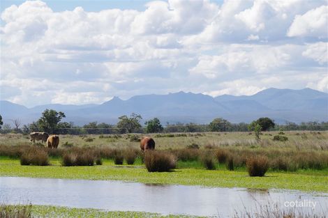 17062 Kamilaroi Hwy, Turrawan, NSW 2390