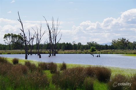 Property photo of 17062 Kamilaroi Highway Turrawan NSW 2390