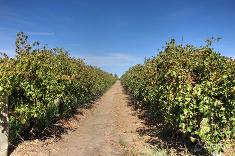 179 Twentyseventh St, Renmark South, SA 5341