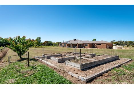 Property photo of 1799 Gerogery Road Gerogery NSW 2642