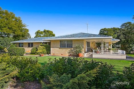 Property photo of 35 Briggs Street Pittsworth QLD 4356