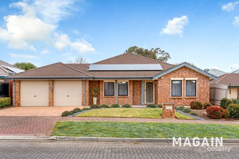Property photo of 11 McFarlane Avenue Mitchell Park SA 5043
