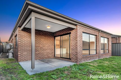 Property photo of 7 Native Street Craigieburn VIC 3064