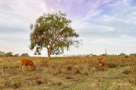 292 Ted Mengel Rd, Nobby, QLD 4360