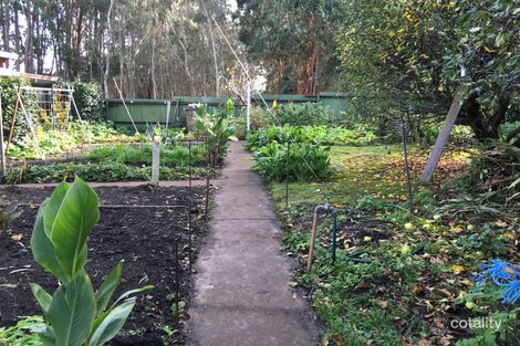 Property photo of 59 Wilson Lane Glencoe SA 5291