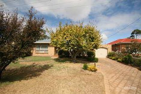 16 Cawthorne Ave, Pasadena, SA 5042