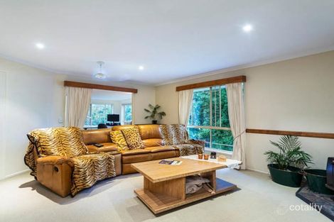 Property photo of 14 Hoffman Close Montville QLD 4560