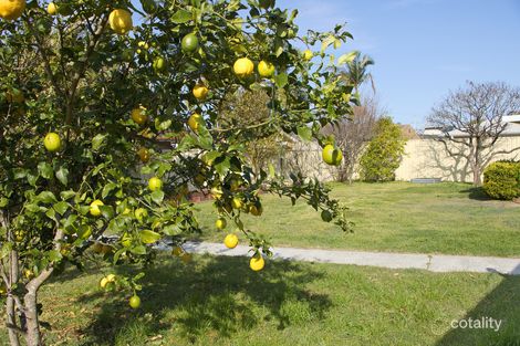 Property photo of 9 Martin Circuit Tea Gardens NSW 2324