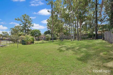 Property photo of 3 Linum Street Kingston QLD 4114