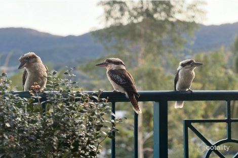 Property photo of 47/8-14 Munro Terrace Mooroobool QLD 4870