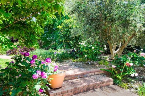 Property photo of 62 Grangewood Drive Dubbo NSW 2830