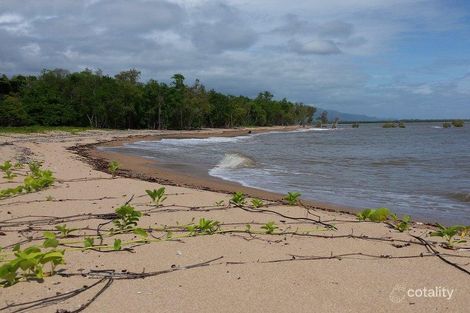 Property photo of 353 Hencamp Creek Road Rollingstone QLD 4816