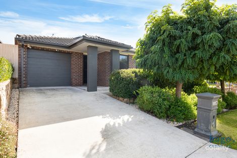 Property photo of 6 Powley Street Casey ACT 2913