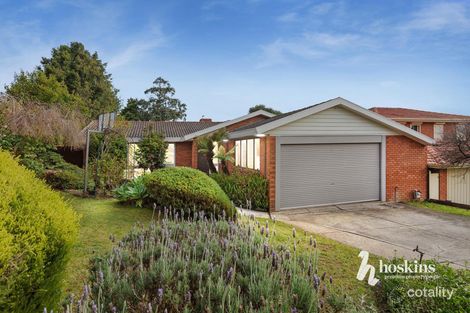 Property photo of 17 Michellan Court Donvale VIC 3111