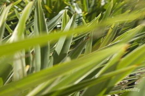 8 Portland Way, Ridgewood, WA 6030