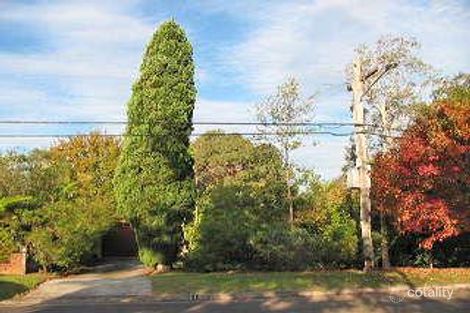 51 Melwood Ave, Forestville, NSW 2087