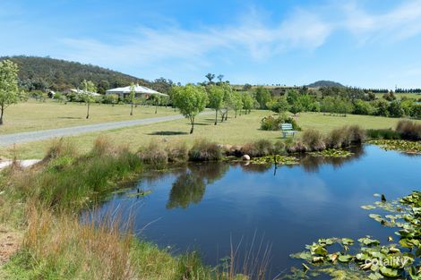 Property photo of 115 Cilwen Road Cambridge TAS 7170