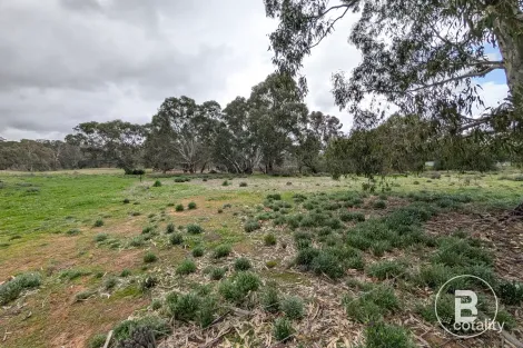 Property photo of 17 Main Street Bealiba VIC 3475