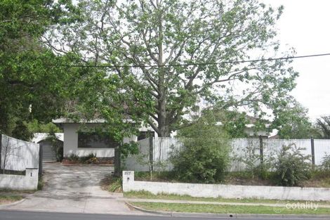 317 Elgar Rd, Surrey Hills, VIC 3127