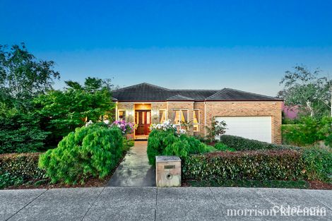 Property photo of 49 St Clems Street Eltham North VIC 3095