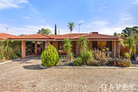 Property photo of 15/54 Hertha Road Innaloo WA 6018