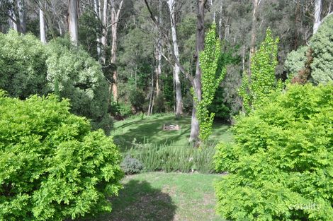 Property photo of 33 Purcell Drive Merrijig VIC 3723