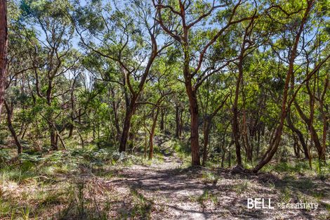 Property photo of 45 Kirkpatricks Road Macclesfield VIC 3782