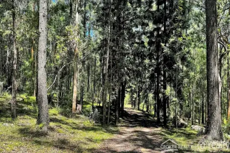 25 Dingo Gully Rd, Grevillia, NSW 2474
