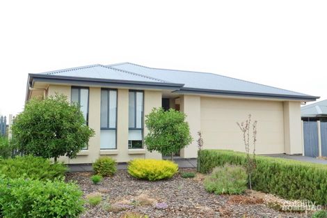 Property photo of 7 Moore Avenue Nuriootpa SA 5355