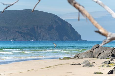 931 Lighthouse Rd, South Bruny, TAS 7150