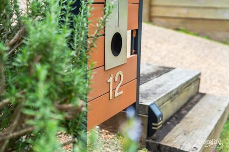 Property photo of 12 Chipping Drive Alexandra Hills QLD 4161