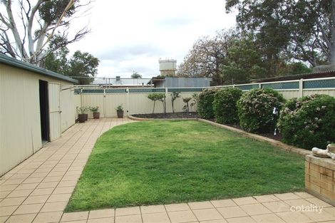 Property photo of 16 Twelfth Street Renmark SA 5341