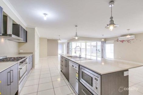 Property photo of 7 Colebrook Crescent Doolandella QLD 4077