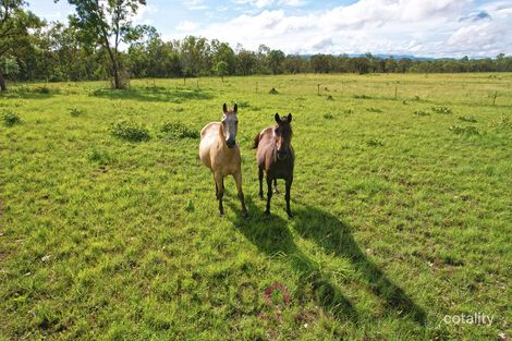 Property photo of 468 Bilwon Road Biboohra QLD 4880