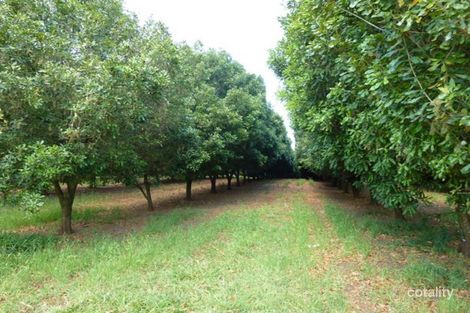 168 Henson Rd, Wyrallah, NSW 2480