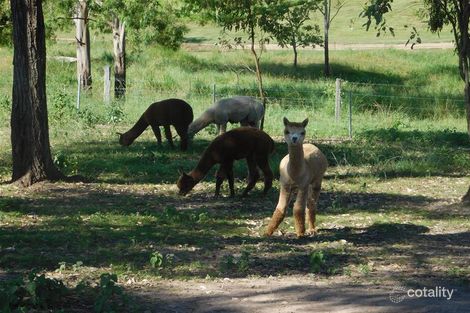 Property photo of 53 Muller Road Sarina QLD 4737