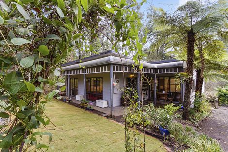 Property photo of 111 Moxhams Road Monbulk VIC 3793