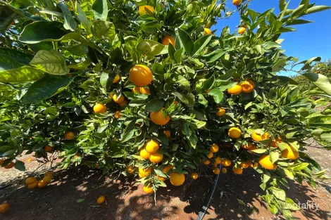 1058 Kidman Way, Hanwood, NSW 2680