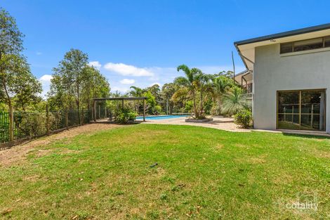 341 Wardrop Valley Rd, South Murwillumbah, NSW 2484