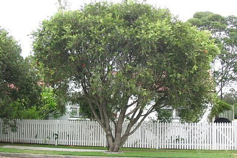 171 St James Rd, New Lambton, NSW 2305