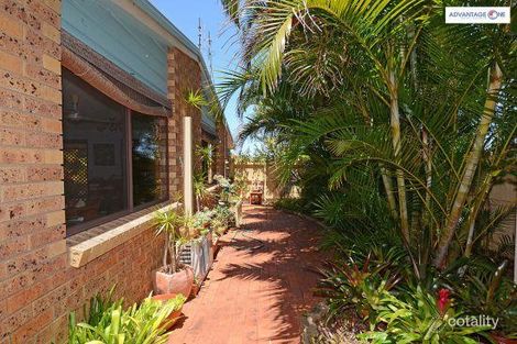 Property photo of 16 Preston Street Point Vernon QLD 4655