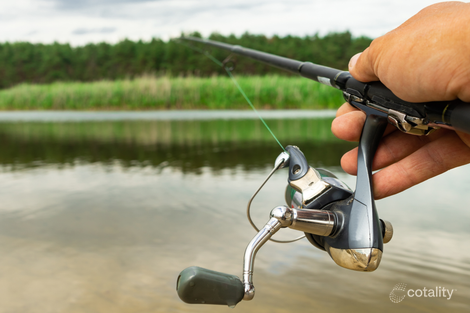 52 River Cove Cct, Murrumba Downs, QLD 4503